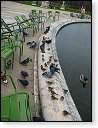 Vrabčáci v parku Tuileries